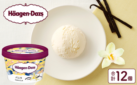 ハーゲンダッツ『ミニカップ12個セット(バニラ味)』アイスクリーム アイス スイーツ デザート ミルクアイス アイススイーツ アイスデザート_H0016-116