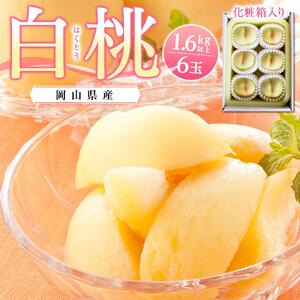 桃  2026年 岡山県産 白桃6玉(1.6kg以上) 化粧箱入り