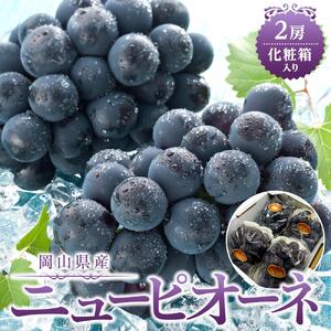 ぶどう 2026年 岡山県産 ニューピオーネ2房(1房480g以上) 化粧箱入り