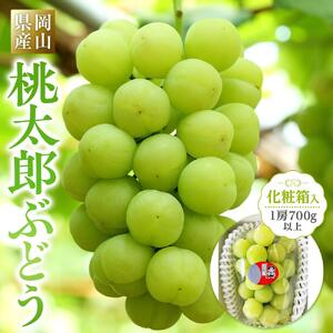ぶどう 2026年 岡山県産 桃太郎ぶどう1房(700g以上) 化粧箱入り