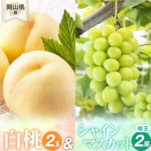 桃 ぶどう 2026年 岡山県産 詰合/白桃2玉(1玉220g以上)・シャインマスカット『晴王』2房(1房480g以上) 化粧箱入り
