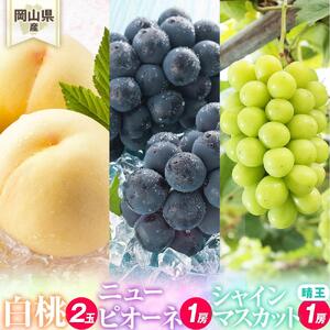 桃 ぶどう 2026年 岡山県産 詰合/白桃2玉(1玉220g以上)・ニューピオーネ1房(480g以上)・シャインマスカット『晴王』1房(480g以上) 化粧箱入り