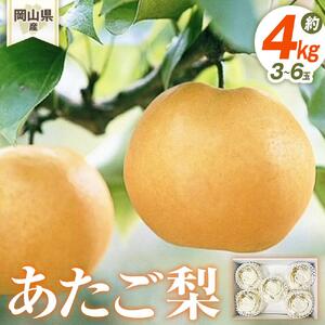 梨 2026年 岡山県産 あたご梨 3-6玉 (約4kg） 化粧箱入り