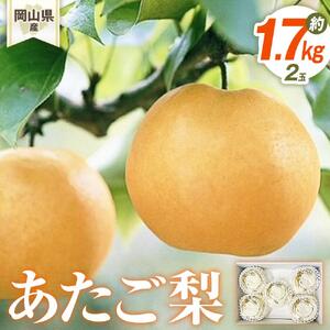 梨 2026年 岡山県産 あたご梨 2玉(約1.7ｋｇ） 化粧箱入り