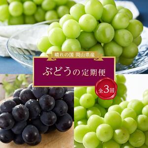ぶどう 2026年【全3回コース】晴れの国岡山 ぶどうの定期便