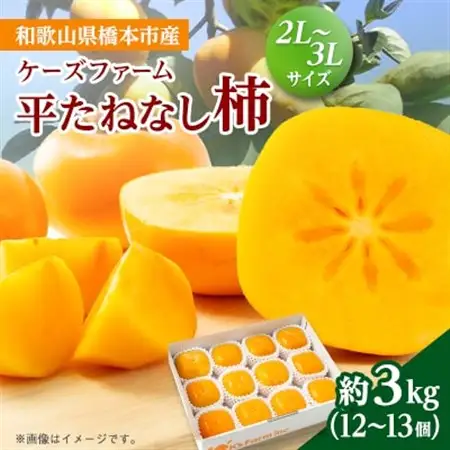 ケーズファーム　平たねなし柿　12～13個入　2L～3Lサイズ_果物・フルーツ 柿（カキ）  かき_【1147921】