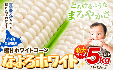  「 なよろホワイト 」 5kg 以上 11～13本 とうもろこし 