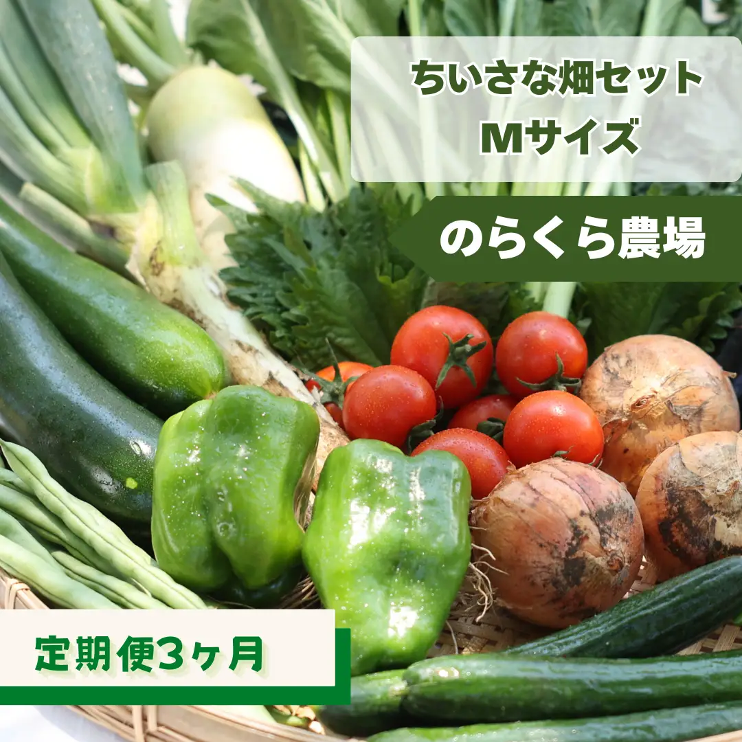 定期便3カ月　有機野菜ちいさな畑セット（Mサイズ　２～３人前）（NK-T502）