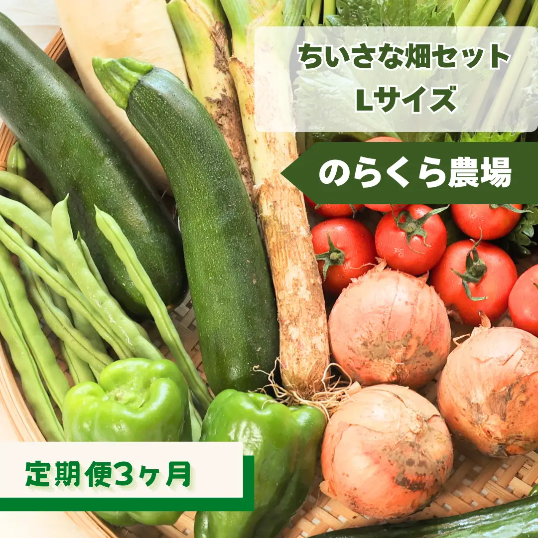 定期便3カ月　ちいさな畑セット（Lサイズ　３～４人前）（NK-T506）