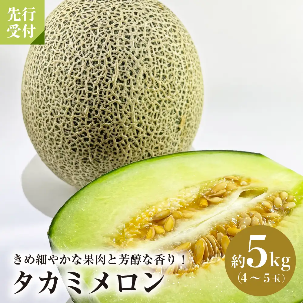 メロン タカミメロン 5kg 4-5玉 令和8年産 河北町産 メロン