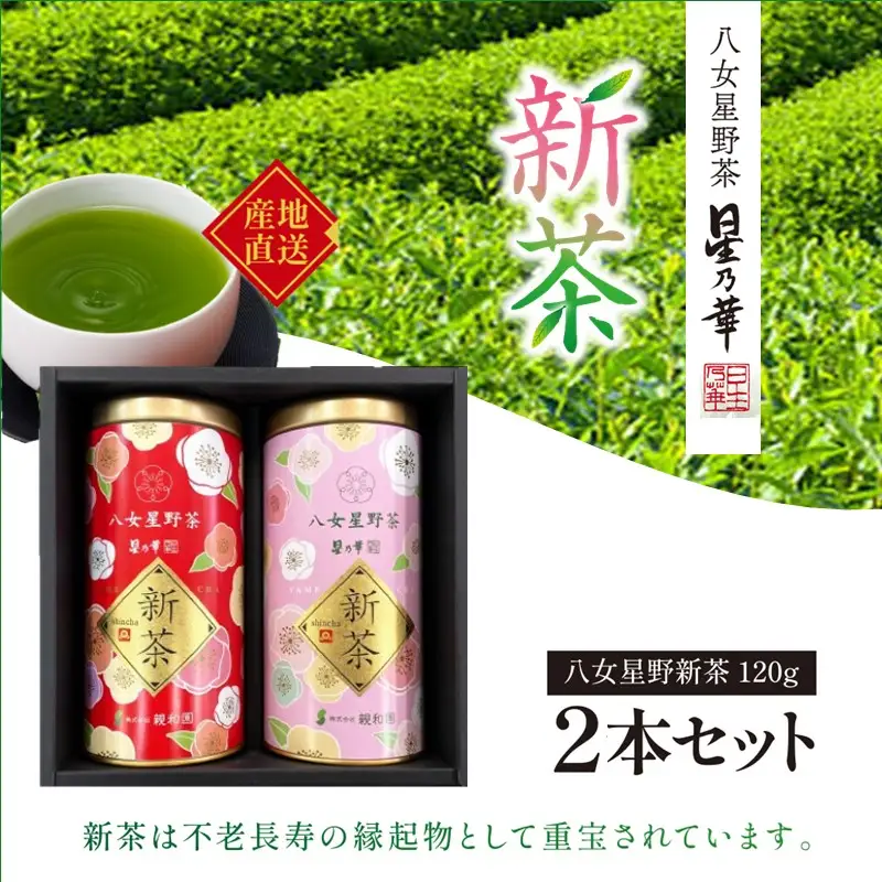 新茶 八女星野茶 120g 2本詰め＜先行予約＞【A2-131】