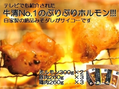 自家製 みそダレ Nセット 牛 ホルモン 300ｇ×2 豚肉 ×３ 鶏肉 ×３/ 黒毛和牛ホルモン 牛清 バーベキュー BBQ キャンプ 牛肉 ぶた肉 とり肉 特製 味噌漬 味付 伊勢志摩 三重 志摩 