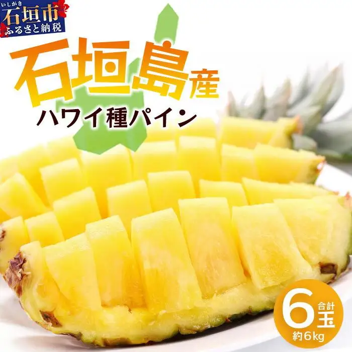 【先行予約】石垣島産 ハワイ種 パイン (6玉 約6㎏)  TP-6