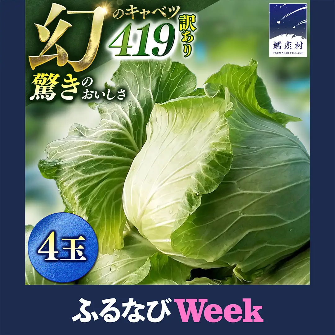 【ふるなびWEEK対象】【7月中旬発送開始】訳あり まぼろしの419キャベツ 4玉 きゃべつ 嬬恋村産キャベツ 羽生田売店 幻のキャベツ419 産地直送 期間限定 人気 朝採り 通販 お取り寄せ 関東 群馬 出荷時期限定 ZIP! 先行予約 [AL006tu] 
