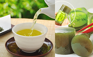 たっぷり深蒸し茶　特選やぶきた2000ｇ　お茶羊羹付き 緑茶 和菓子 ようかん 