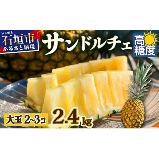 【先行予約】サンドルチェ大玉2～3個 計2.4kg 