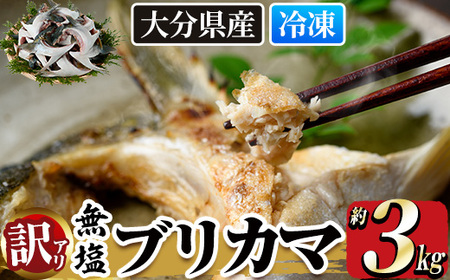 ＜訳あり＞ 無塩 ブリカマ (約3kg)大分県産 国産 ぶりかま ブリ ぶり 鰤 養殖ブリ 煮つけ 鰤かま カマ焼き 冷凍 大分県 佐伯市【ET002】【三宅水産】