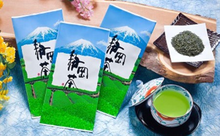 静岡の深むし茶100g×10袋 飲料類 お茶 
