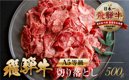 [A5等級] 飛騨牛 切り落とし 500g  [mt367] 飛騨牛 トキノ屋食品