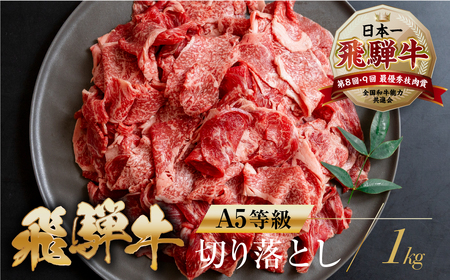 A5等級 飛騨牛 切り落とし 500g×2 計1kg 切り落とし  [mt368] トキノ屋食品