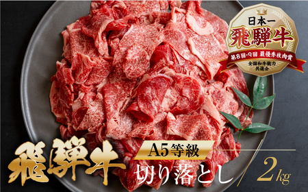 [A5等級] 飛騨牛 切り落とし 500g×4 計2kg   [mt370] 飛騨牛 トキノ屋食品