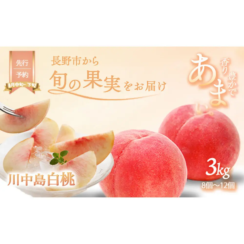 川中島白桃約3kg（8個～12個） | 桃 フルーツ 旬 