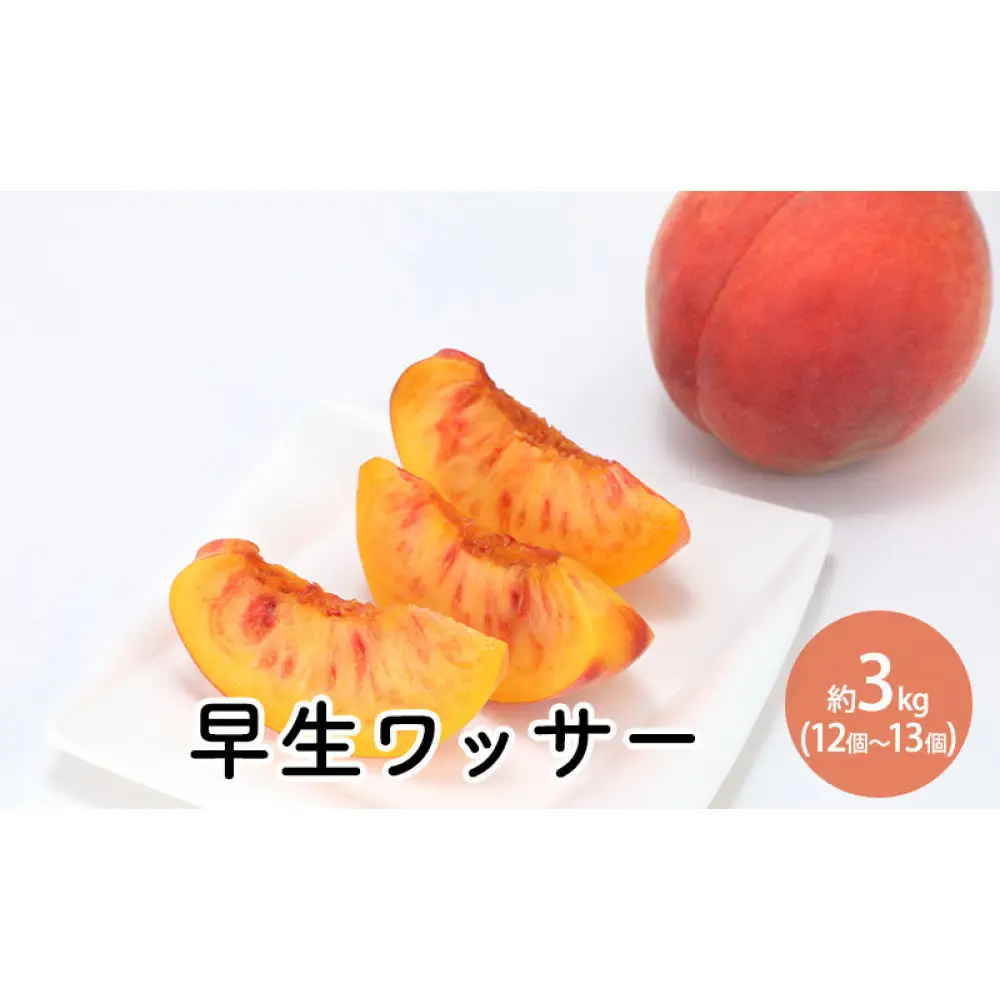 早生ワッサー約3kg（12個～13個） | 桃 フルーツ 旬 桃
