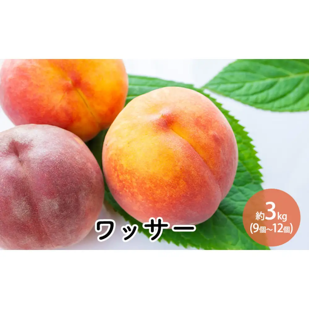 ワッサー約3kg（9個～12個） | 桃 フルーツ 旬 桃