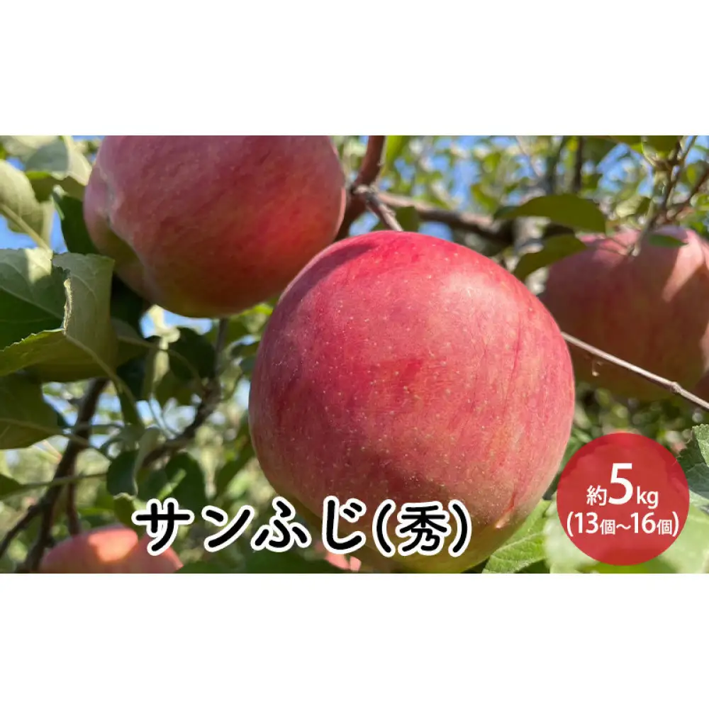 信州りんご・サンふじ（秀）約5kg（12個～16個） | りんご 