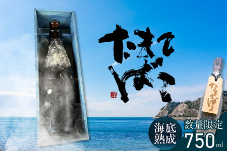 【テレビで紹介！】伊勢湾竜宮熟成酒「たまてばこ」