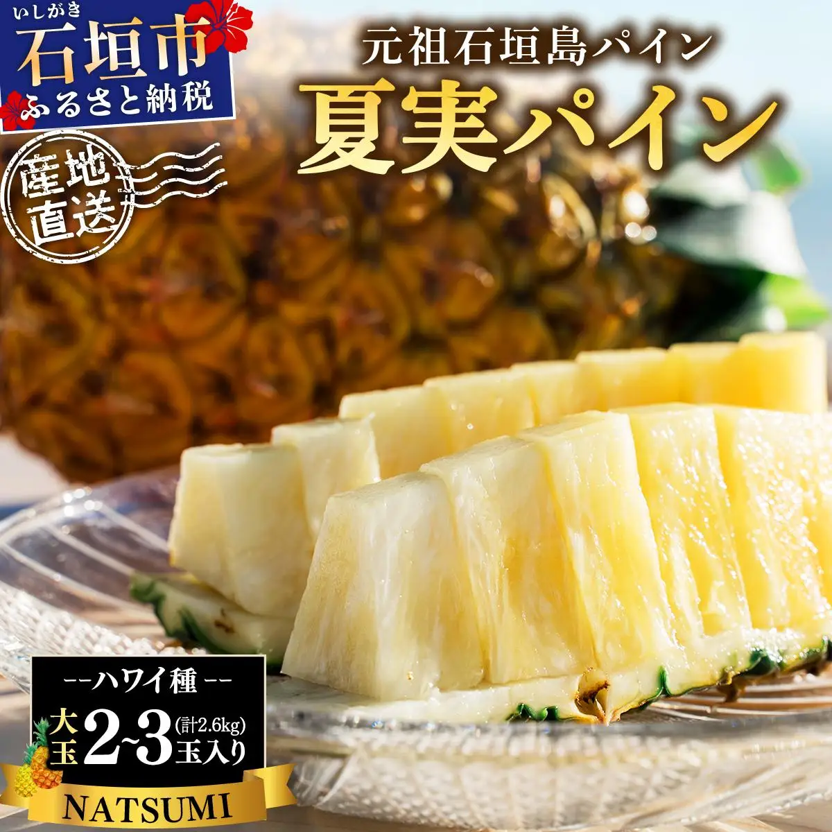 夏実パイン 大玉2～3個 計2.6kg