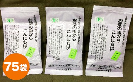 有機深むし煎茶きわみ100g×75袋 飲料類 お茶 