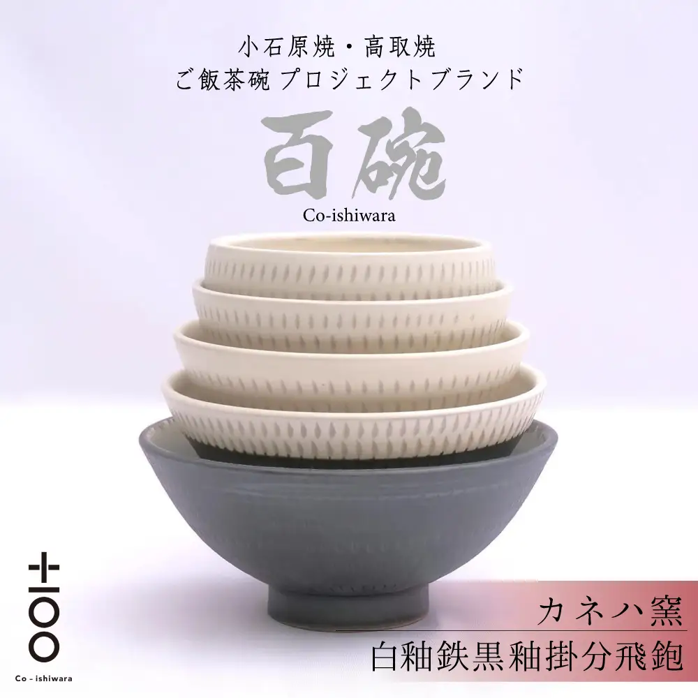 百碗 白釉鉄黒釉掛分飛鉋 (カネハ窯) FR9
