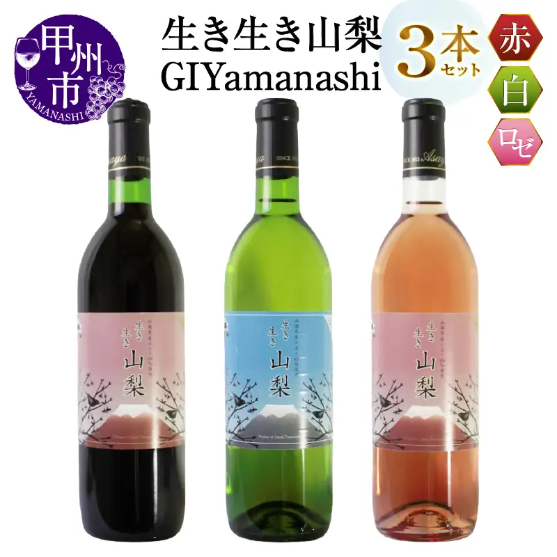 ワイン 生き生き山梨[GIYamanashi]3本セット（MG）B17-651