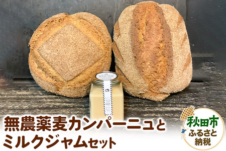無農薬麦カンパーニュとミルクジャムのセット