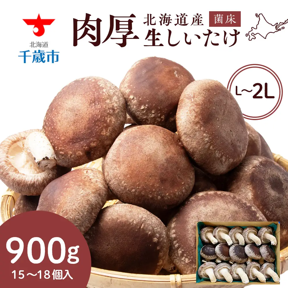 菌床 生しいたけ 900g 大きい 肉厚 シイタケ 椎茸 生椎茸 生シイタケ 千歳 北海道 《 あしだファーム 》