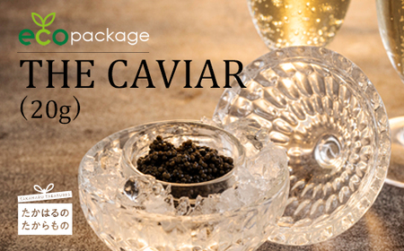 THE・CAVIAR(ザ・キャビア) 20g ecoパッケージ 訳あり:簡易パッケージ版  TF0772-P00066