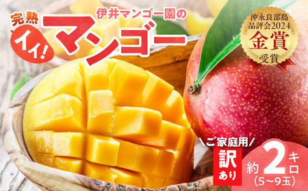 【 2026年 先行予約 】 伊井マンゴー園 の 訳あり 完熟 マンゴー （ ご家庭用 ） 約2キロ （ 5～9玉 ） C026-004 果物 フルーツ