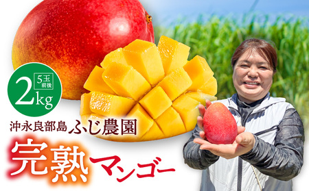 【 2026年 先行予約 】 ふじ農園 の 完熟 マンゴー 2kg C031-002 果物 フルーツ