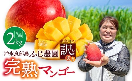 【 2026年 先行予約 】【 訳あり 】 おいしさそのまま！ ふじ農園 の 完熟 マンゴー 2kg C031-003 果物 フルーツ