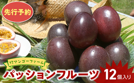 【 2026年 先行予約 】 竹マンゴーファーム パッションフルーツ （ 12個入り ） C039-001 果物 フルーツ