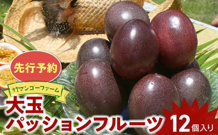 【 2026年 先行予約 】 竹マンゴーファーム 大玉 パッションフルーツ （ 12個入り ） C039-002 果物 フルーツ