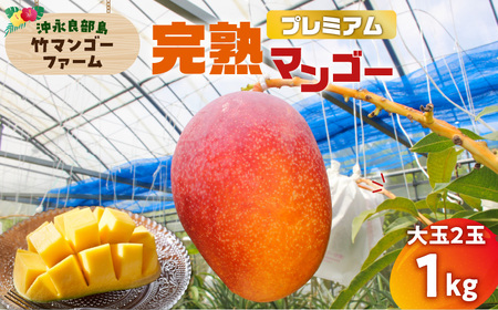 【 2026年 先行予約 】 竹マンゴーファーム の プレミアム 完熟 マンゴー 1キロ （ 大玉 2個入り ） C039-003 果物 フルーツ