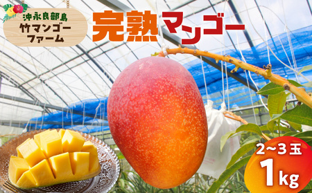 【 2026年 先行予約 】 竹マンゴーファーム の 完熟 マンゴー 1キロ （ 2～3個入り ） C039-004 果物 フルーツ