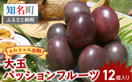 【 2026年 先行予約 】 えみちゃん農園 大玉 パッションフルーツ （ 12個 入り ） C008-004 果物 フルーツ