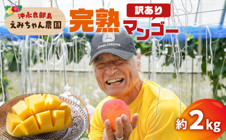 【 2026年 先行予約 】 えみちゃん農園 の 完熟 マンゴー 約2キロ （ 訳あり ） C008-007-02 果物 フルーツ