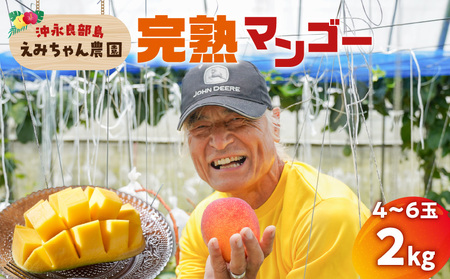 【 2026年 先行予約 】 えみちゃん農園 の 完熟 マンゴー 2キロ （ 4～6個入り ） C008-008 果物 フルーツ