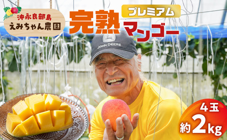 【 2026年 先行予約 】 えみちゃん農園 の プレミアム 完熟 マンゴー 約2キロ （ 4個 ） C008-009 果物 フルーツ