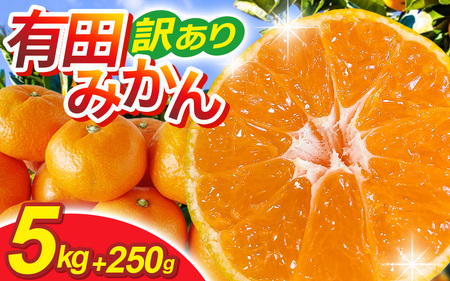 家庭用 有田 みかん サイズ混合(2S～2L) 5kg+250g ※11月発送(完熟) / 温州みかん 有田みかん 訳あり 甘い 光センサー選果 果物 柑橘 和歌山 ※北海道・沖縄・離島への配送不可 【ikd004-cm-5-novC】 