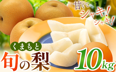 くまもと 旬の 梨 約 10kg  | フルーツ 果物 くだもの なし ナシ 梨 旬 熊本県 玉名市